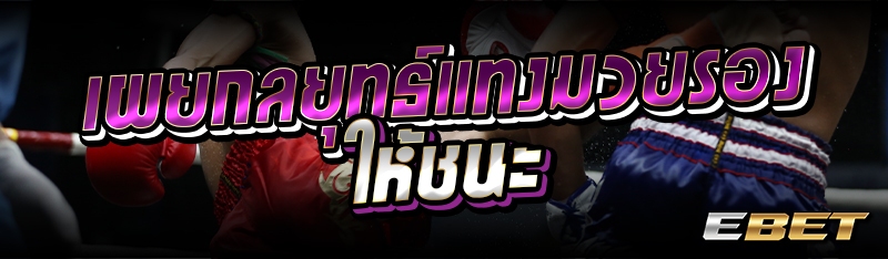 เผยกลยุทธ์แทงมวยรองให้ชนะ